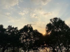 -宝安西湾红树林湿地公园