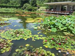 -国家植物园南园