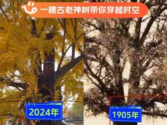 -清华大学玉泉医院