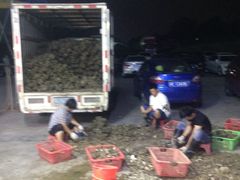 -蚝专家(北滘店)