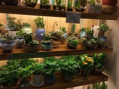 -妃比花艺(光启城时尚购物中心店)