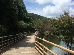 -梁野山景区