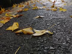 -上海市保健医疗中心