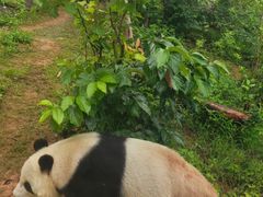 -泉州海丝野生动物世界