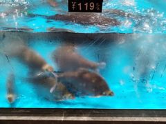 -艳阳天·非遗楚菜(武汉客厅店)