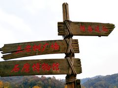 -千年银杏谷文化旅游区