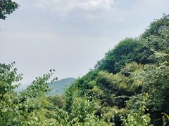 -灵顺寺