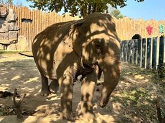 -济南野生动物世界