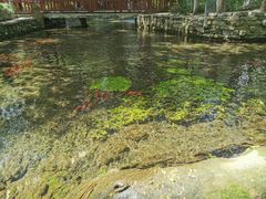 -水磨沟公园