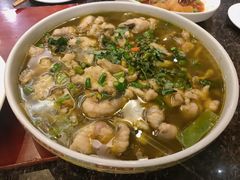 藤椒酸菜鱼-钦善斋(武侯祠店)