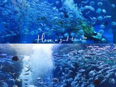 -波塞冬海底世界