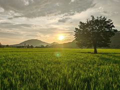 -风云岭森林公园