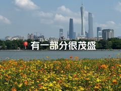 -海珠湖公园