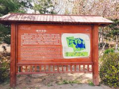 -大兴滨河森林公园