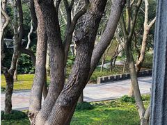 -蠡湖中央公园