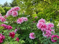 -河南省黄河迎宾馆