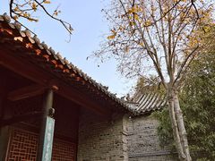 -南阳府衙