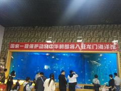 -洛阳龙门海洋馆
