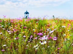 -敕勒川草原文化旅游区