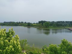 -东郊湿地公园