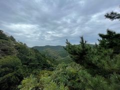 -大连金龙寺国家森林公园-售票处