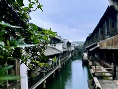 -乌镇西栅景区
