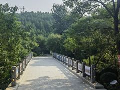 -佛慧山