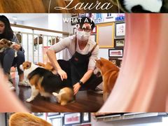 -柯斗斗主题餐厅·狗咖·围炉煮茶·茶饮(国瑞升平里店)