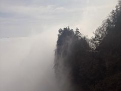 -秦岭天竺山生态文化旅游景区