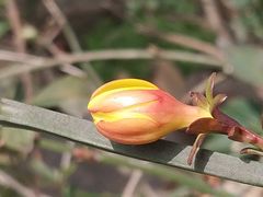 -如皋市龙游湖欢乐世界