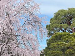 -醍醐寺