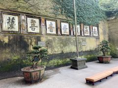 -普陀山慧济禅寺