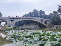 -赵州桥景区