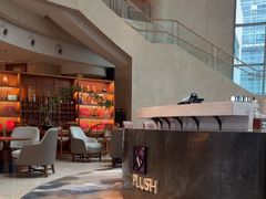 -Plush大堂酒廊(北京金融街威斯汀大酒店)
