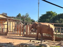 -东莞香市动物园