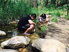 -碓臼峪自然风景区