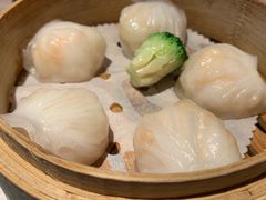 燕窝鲜奶冻-協成海鲜火锅