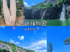 -上海辰山植物园