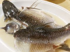 油盐水库鲩鱼-八景休閒山莊  廣東十大名山莊