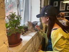 -不舍昼夜咖啡馆