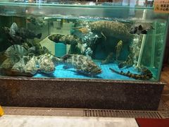 -聚福宝合苑食府(南头镇店)