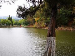 -韶山毛泽东同志故居