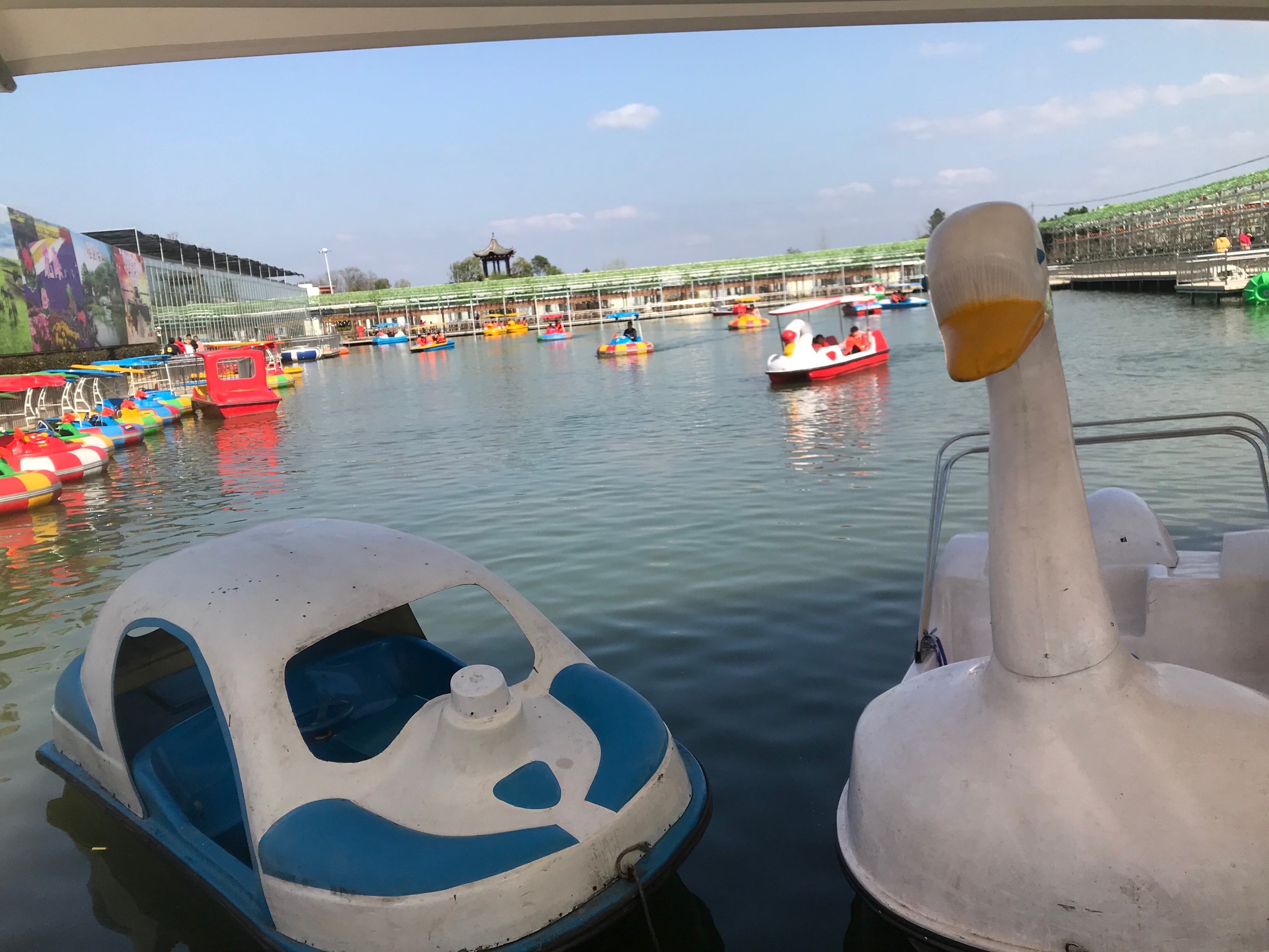 泾县后山梦幻游乐场