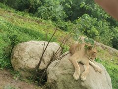 -西安秦岭野生动物园