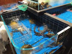 -阿明小菜·海鲜·上海菜(梅陇店)