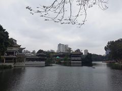 -荔湾湖公园