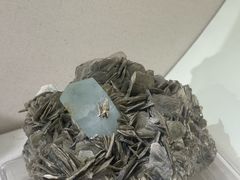 -安徽省地质博物馆