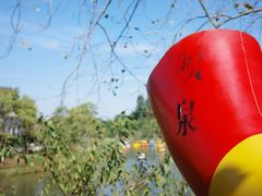 -黄龙溪欢乐田园