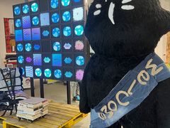 -多抓鱼循环商店(虹桥天地店)