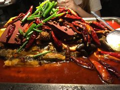 -探鱼·鲜青椒爽麻烤鱼(西南商都店)